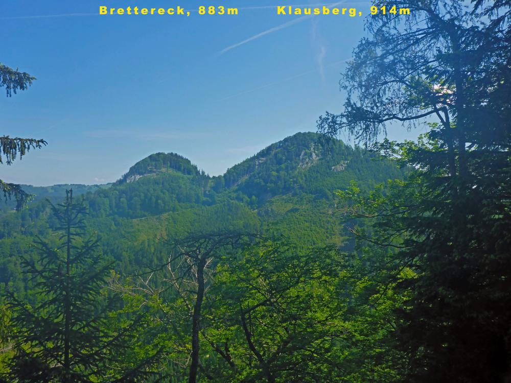 Winterbacher Ötscher (34 Bildaufrufe)