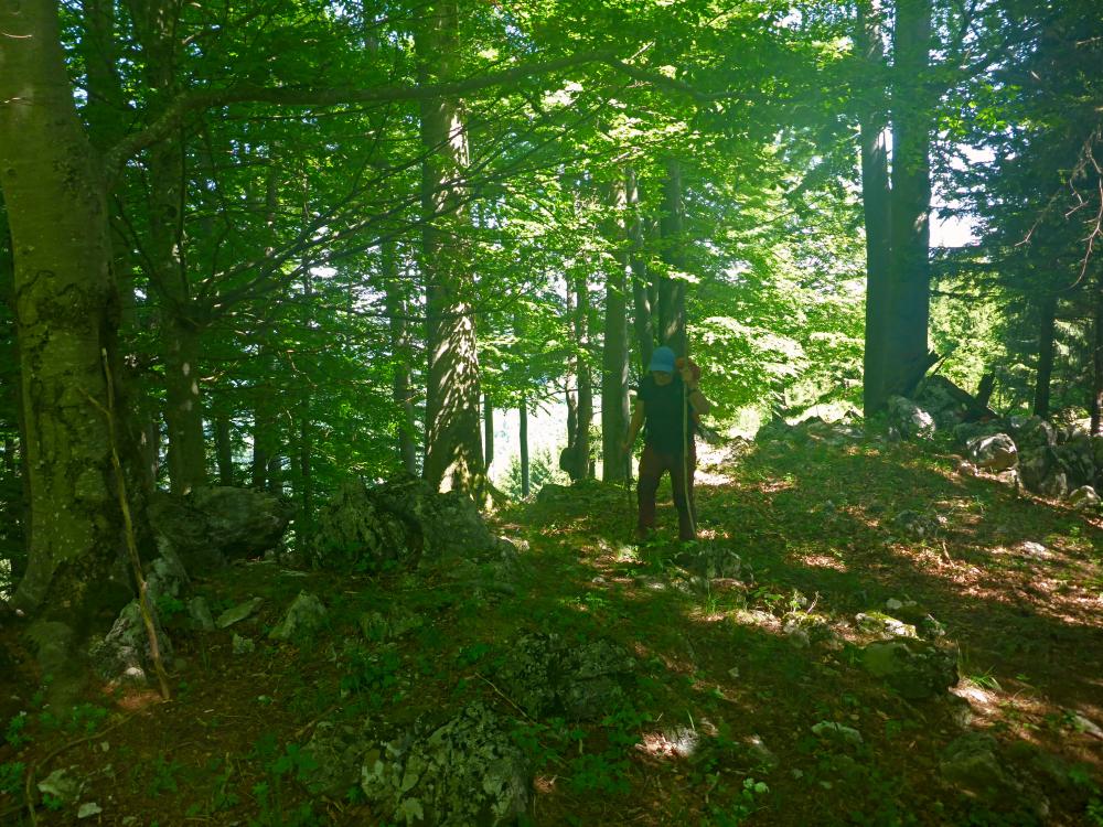 Winterbacher Ötscher (21 Bildaufrufe)