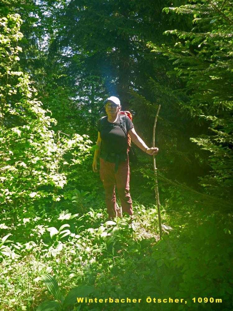 Winterbacher Ötscher (20 Bildaufrufe)