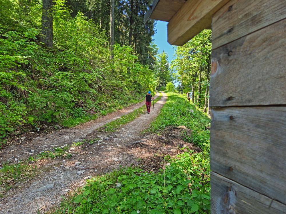 Winterbacher Ötscher (31 Bildaufrufe)