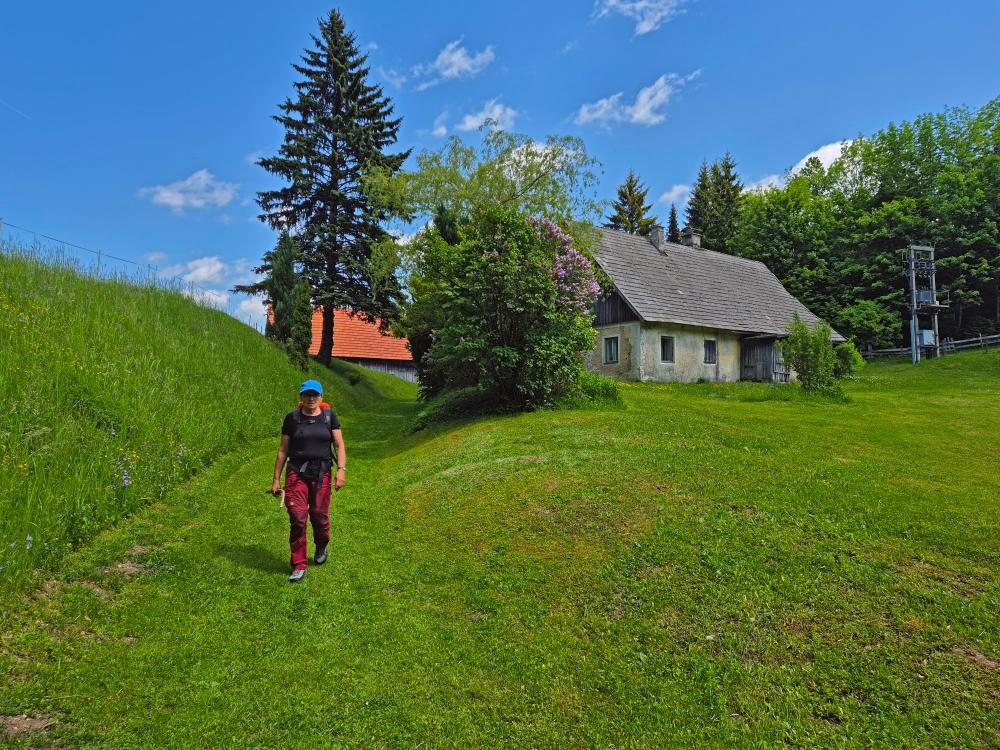 Winterbacher Ötscher (28 Bildaufrufe)