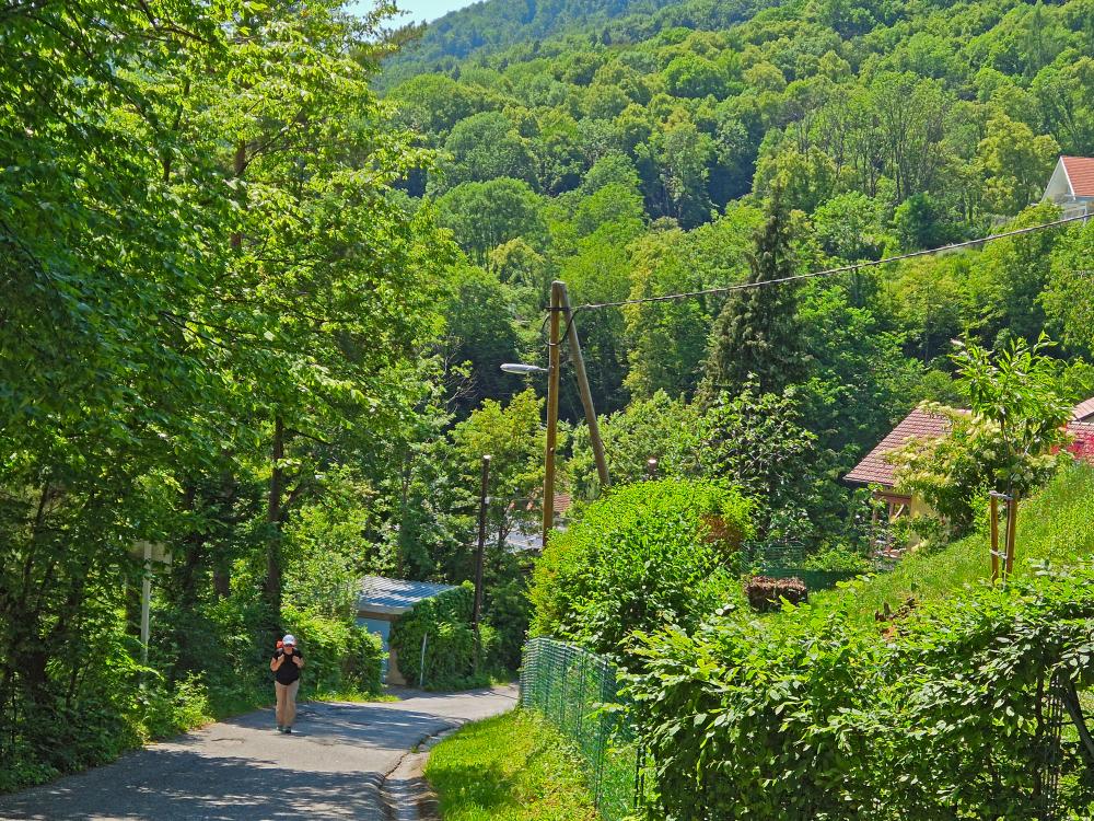 Plabutsch (32 Bildaufrufe)