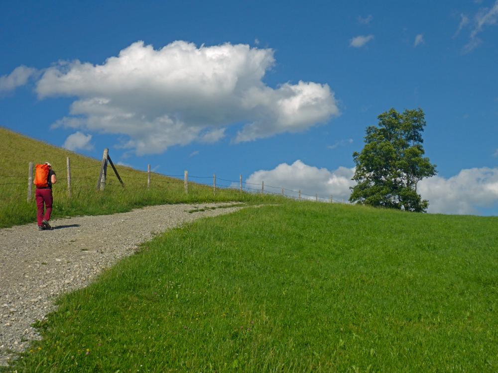 Kaiserkogel (21 Bildaufrufe)