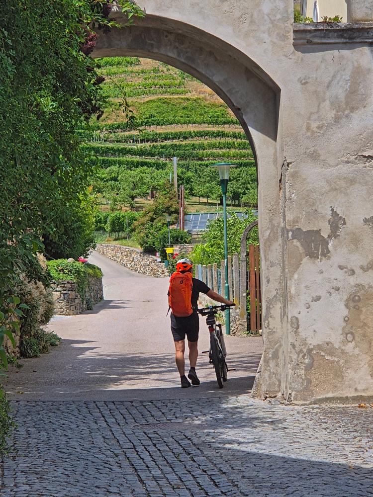 Tausendeimerberg (25 Bildaufrufe)
