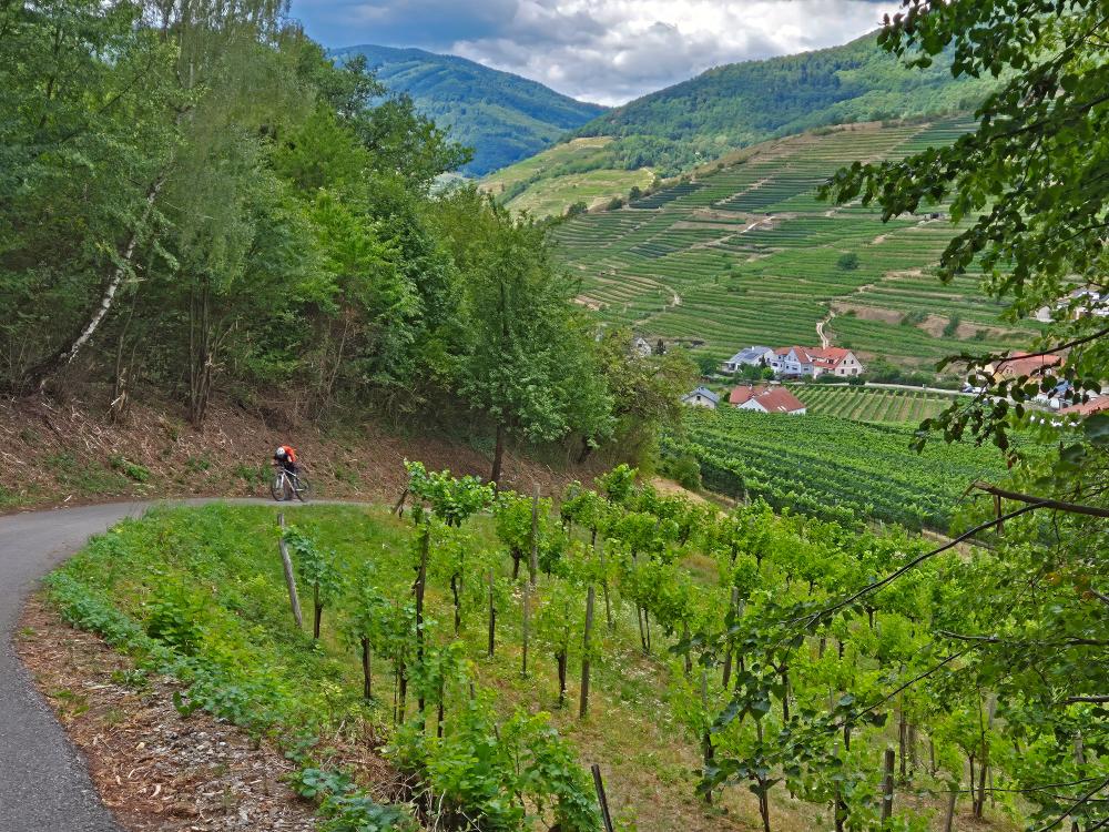 Tausendeimerberg (22 Bildaufrufe)