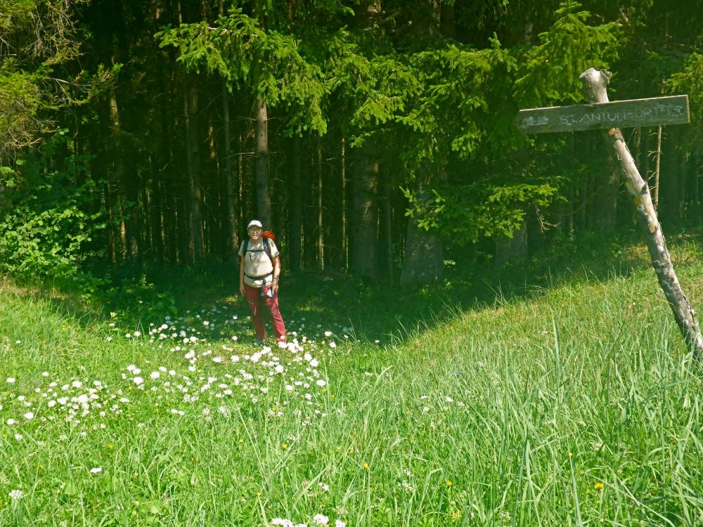 Hochreithspitz (20 Bildaufrufe)