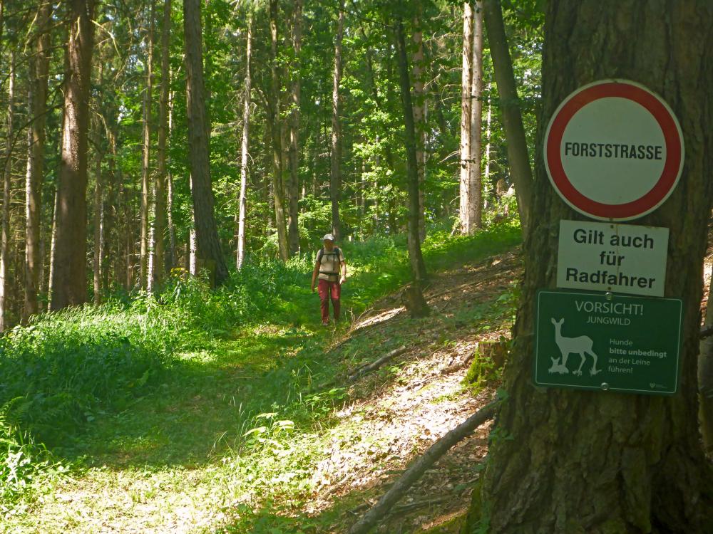 Hochreithspitz (22 Bildaufrufe)