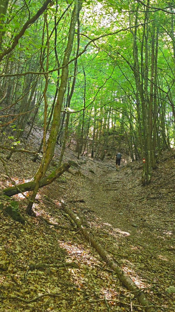 Hoher Gallin (24 Bildaufrufe)