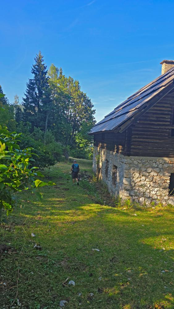 B&auml;rentaler Kotschna (16 Bildaufrufe)
