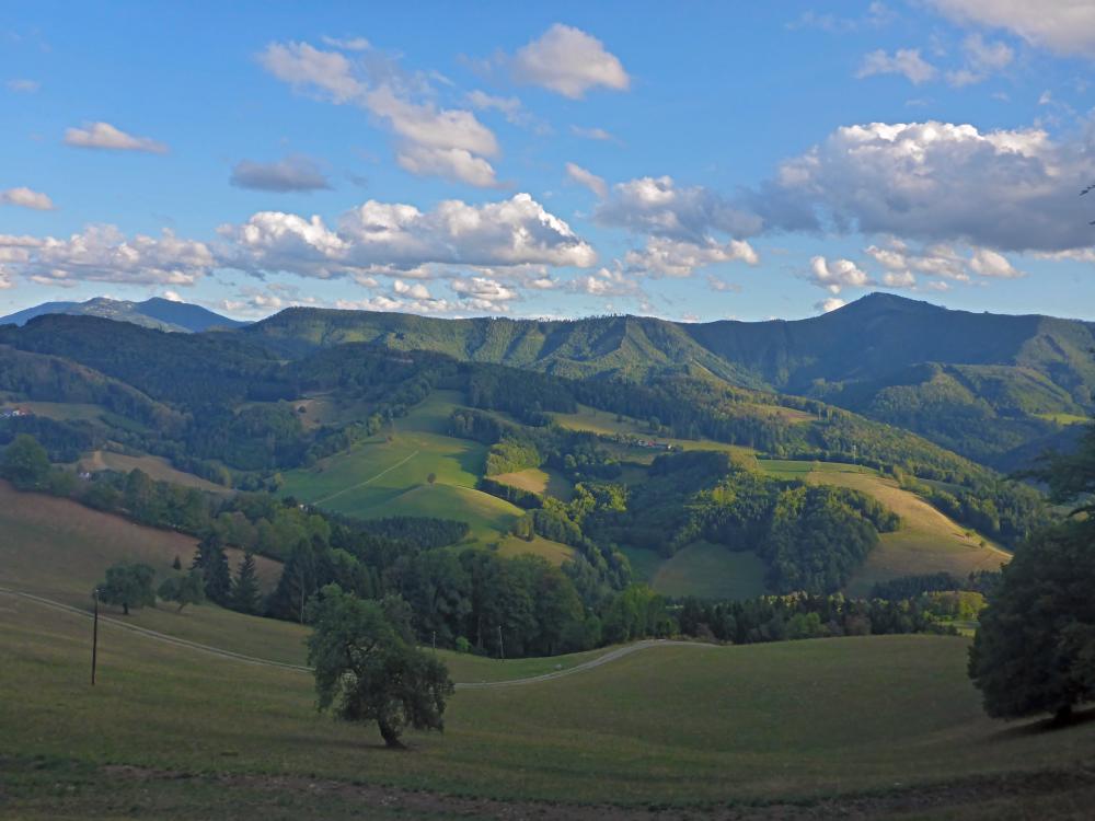 Gaisbühel (22 Bildaufrufe)