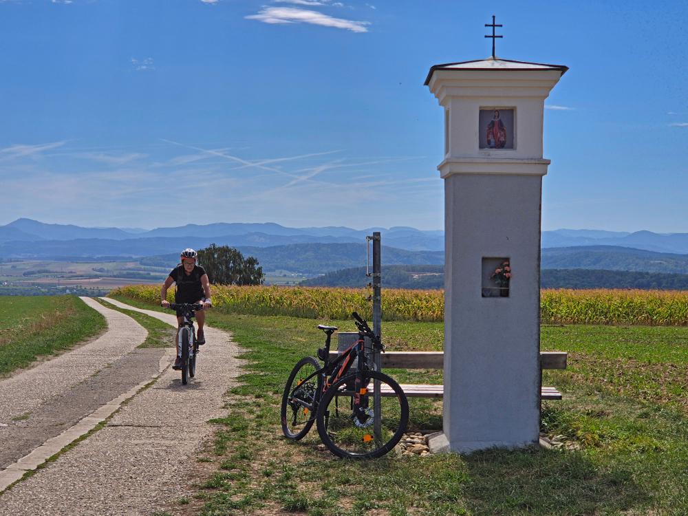 Tannenberg (38 Bildaufrufe)