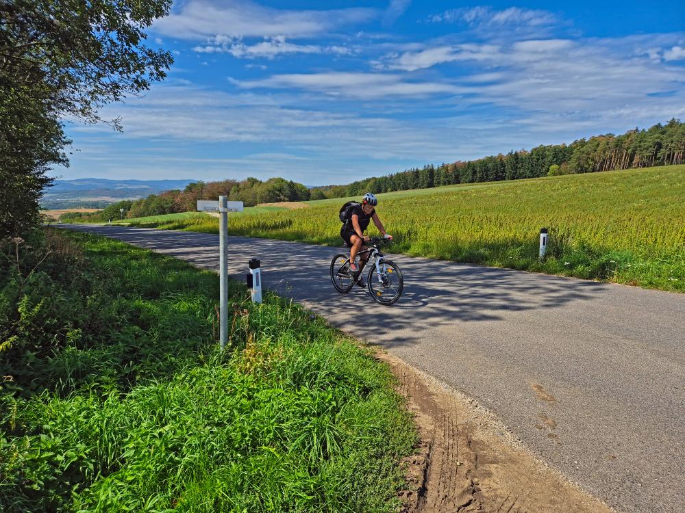 Tannenberg (32 Bildaufrufe)