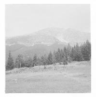 Bild 1 (390 Bildaufrufe)