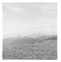 Bild 4 (438 Bildaufrufe)