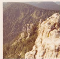 Bild 7 (433 Bildaufrufe)