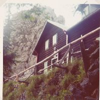 Schneeberg, Schneealpe, Hinteralm (532 Bildaufrufe)