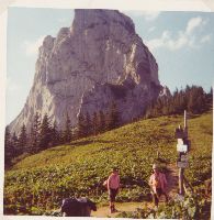 Ghacktkogel, Mitteralpe (434 Bildaufrufe)