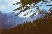 Bild 4 (304 Bildaufrufe)