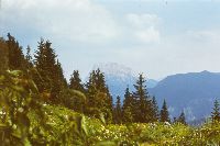 Bild 5 (276 Bildaufrufe)