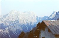 Bild 10 (294 Bildaufrufe)