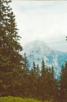 Bild 5 (246 Bildaufrufe)