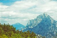 Reichenstein (316 Bildaufrufe)