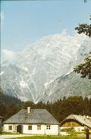 Bild 1 (351 Bildaufrufe)