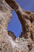 Bild 10 (281 Bildaufrufe)