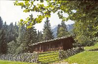 Bild 22 (298 Bildaufrufe)