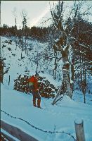 Ybbstalerhütte (239 Bildaufrufe)