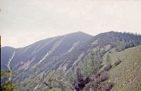 Bild 2 (226 Bildaufrufe)