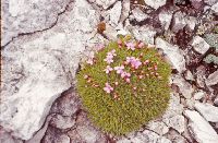 Bild 11 (278 Bildaufrufe)