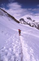 Großglockner (268 Bildaufrufe)