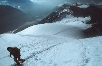 Großglockner (265 Bildaufrufe)