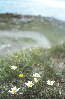 Bild 33 (282 Bildaufrufe)