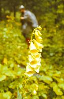 Bild 3 (283 Bildaufrufe)