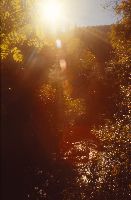 Bild 5 (230 Bildaufrufe)