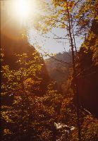 Bild 7 (280 Bildaufrufe)