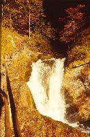 Trefflingfall (235 Bildaufrufe)