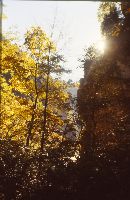 Bild 11 (241 Bildaufrufe)