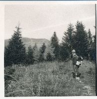 Bild 1 (243 Bildaufrufe)