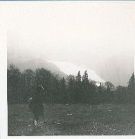 Bild 2 (294 Bildaufrufe)