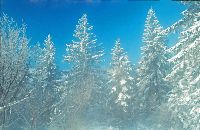 Bild 4 (294 Bildaufrufe)