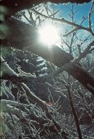 Bild 5 (345 Bildaufrufe)