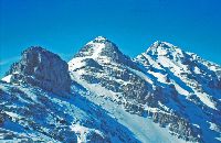 Bild 5 (244 Bildaufrufe)