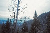 Bild 11 (271 Bildaufrufe)