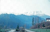Bild 2 (247 Bildaufrufe)