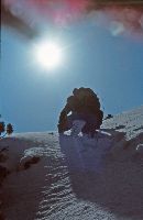 Bild 7 (270 Bildaufrufe)