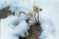 Bild 13 (262 Bildaufrufe)