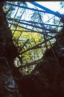 Bild 2 (218 Bildaufrufe)
